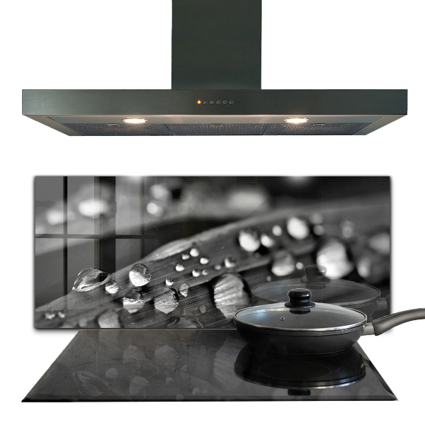 Kitchen splashback Leaf rosa black and white