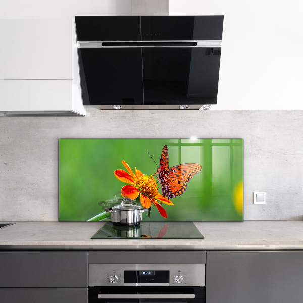 Kitchen splashback Butterfly on a summer flower