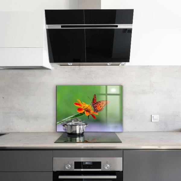 Kitchen splashback Butterfly on a summer flower