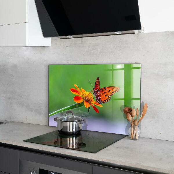 Kitchen splashback Butterfly on a summer flower