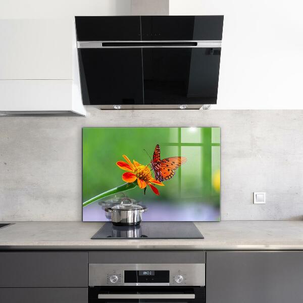 Kitchen splashback Butterfly on a summer flower