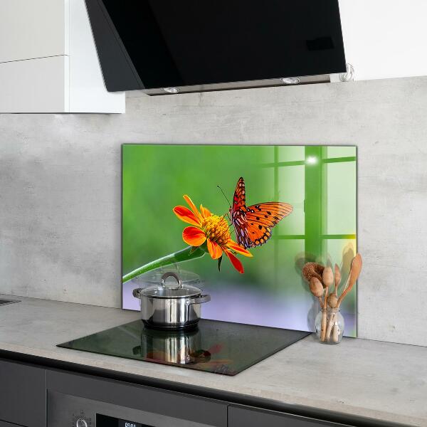 Kitchen splashback Butterfly on a summer flower