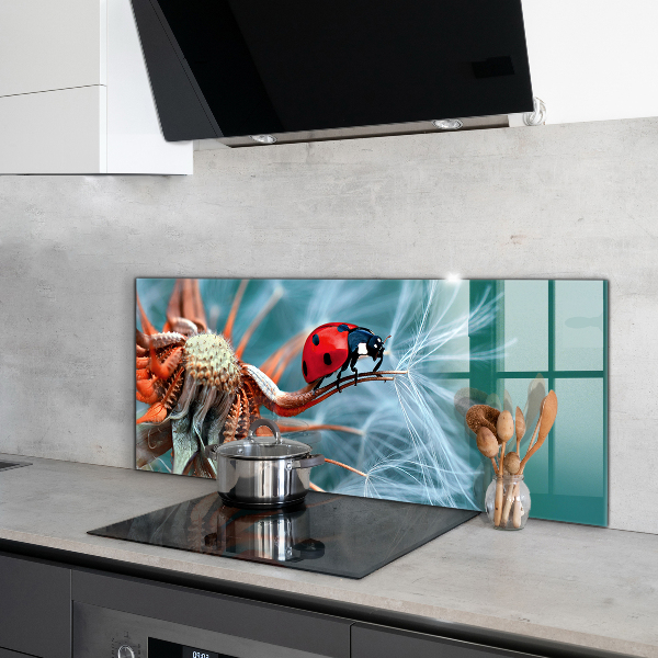 Kitchen splashback Ladybug red beetle