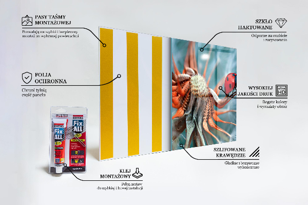 Kitchen splashback Ladybug red beetle