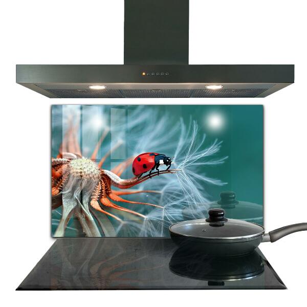 Kitchen splashback Ladybug red beetle