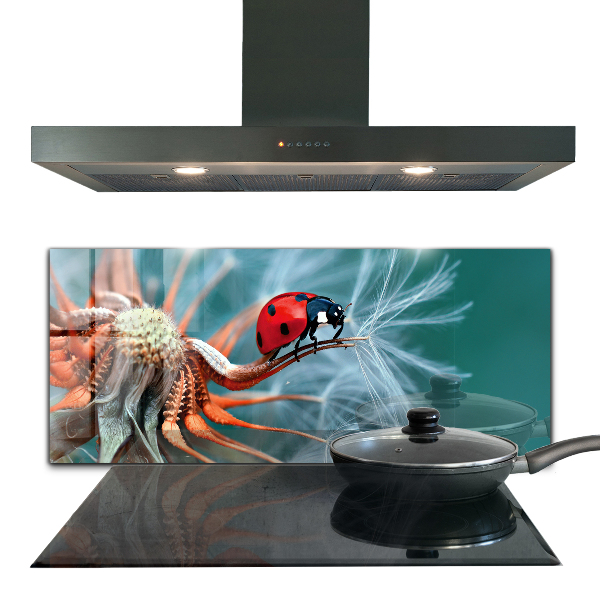 Kitchen splashback Ladybug red beetle
