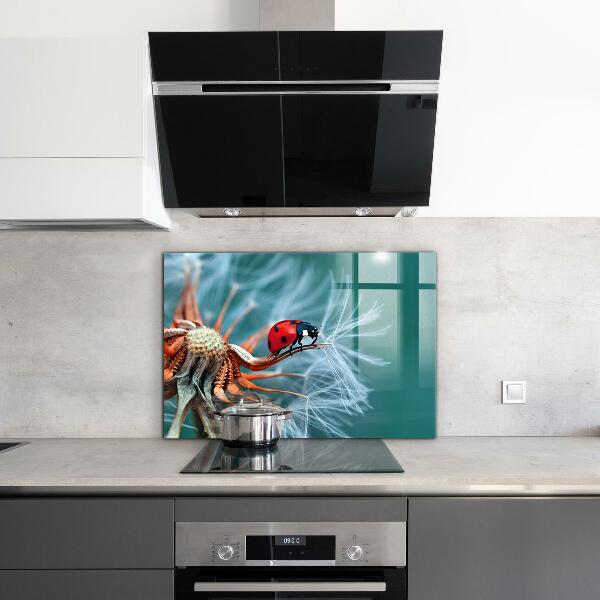 Kitchen splashback Ladybug red beetle