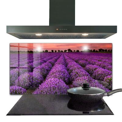 Kitchen splashback Lavender field landscape