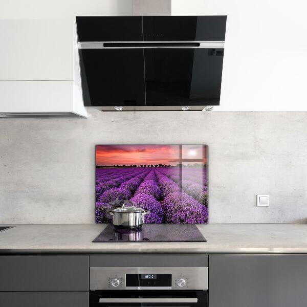 Kitchen splashback Lavender field landscape