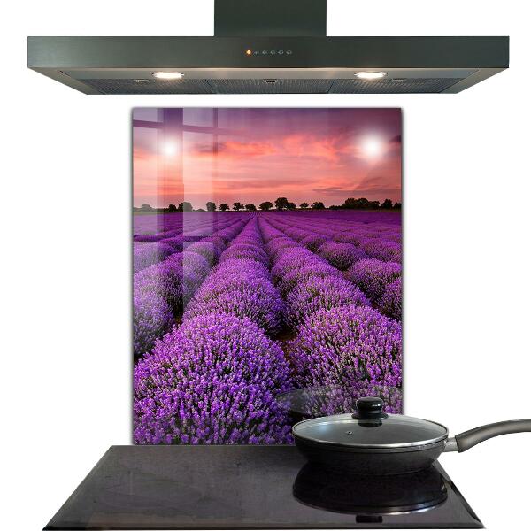 Kitchen splashback Lavender field landscape