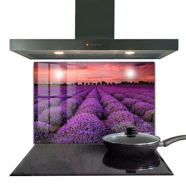 Kitchen splashback Lavender field landscape