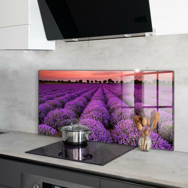 Kitchen splashback Lavender field landscape