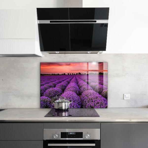 Kitchen splashback Lavender field landscape
