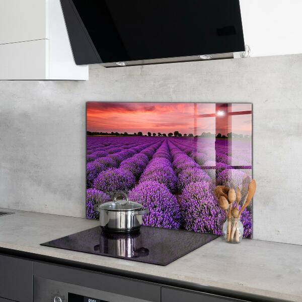 Kitchen splashback Lavender field landscape