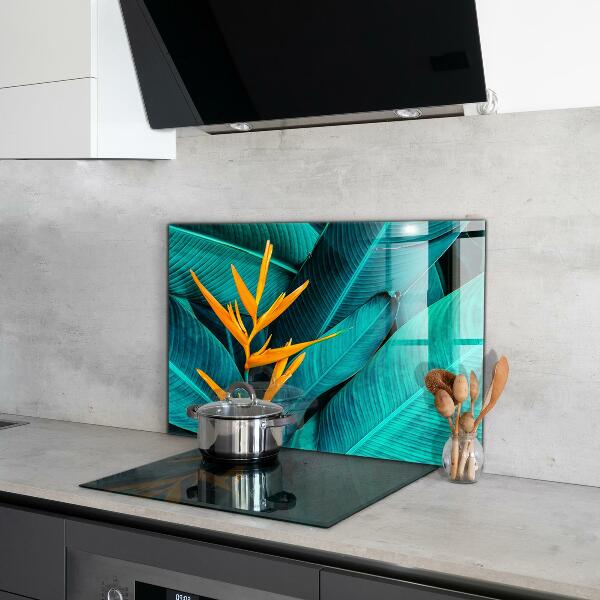 Kitchen splashback Tropical exotic flower