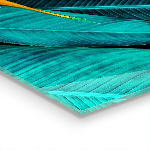 Kitchen splashback Tropical exotic flower