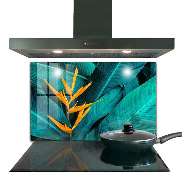Kitchen splashback Tropical exotic flower