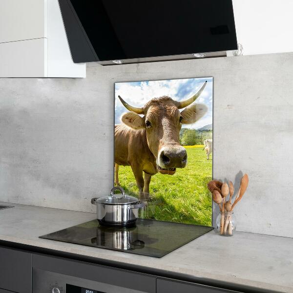 Kitchen splashback Rural climate krowa pole
