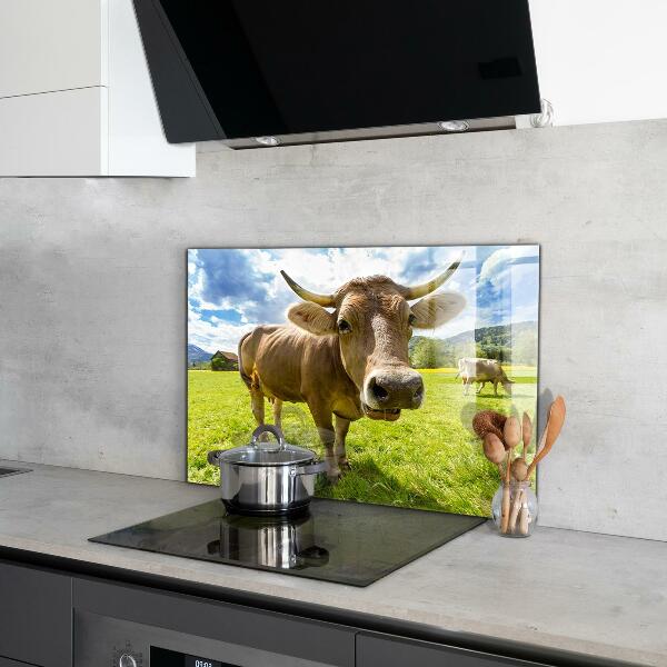 Kitchen splashback Rural climate krowa pole