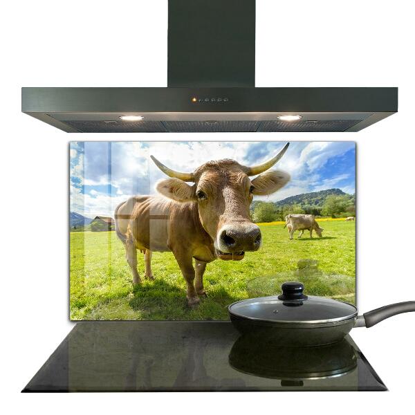Kitchen splashback Rural climate krowa pole