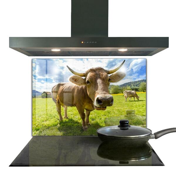 Kitchen splashback Rural climate krowa pole