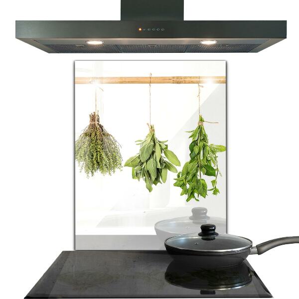 Kitchen splashback Dried herbs power of nature