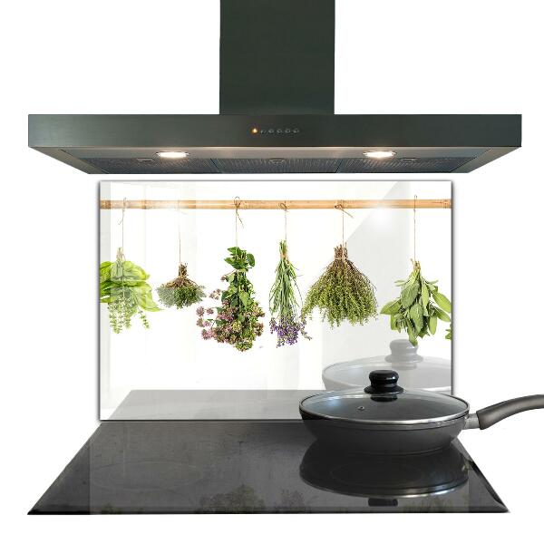 Kitchen splashback Dried herbs power of nature