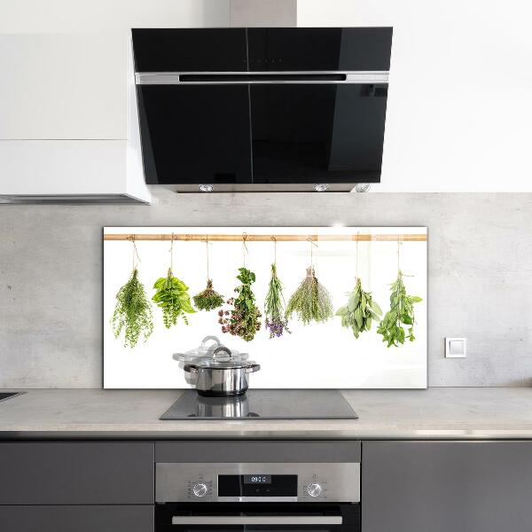 Kitchen splashback Dried herbs power of nature