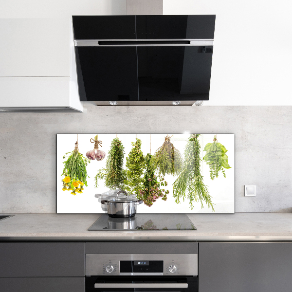 Kitchen splashback Dried herbs herbal medicine