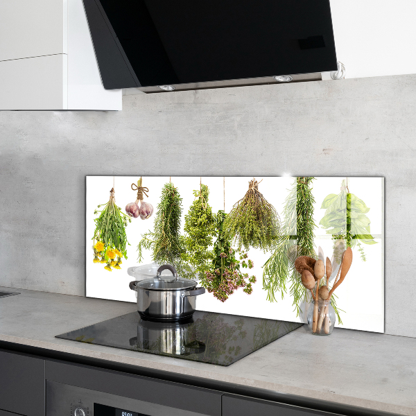 Kitchen splashback Dried herbs herbal medicine