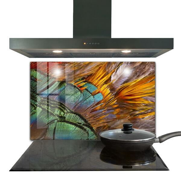 Oven splashback Exotic feathers