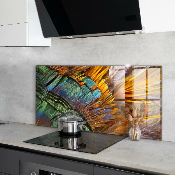 Oven splashback Exotic feathers