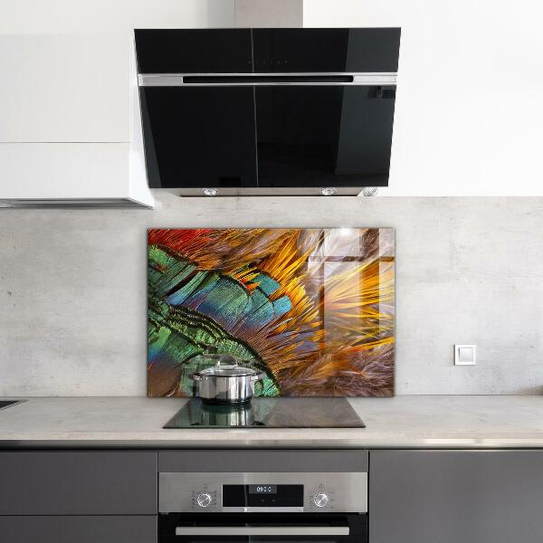 Oven splashback Exotic feathers