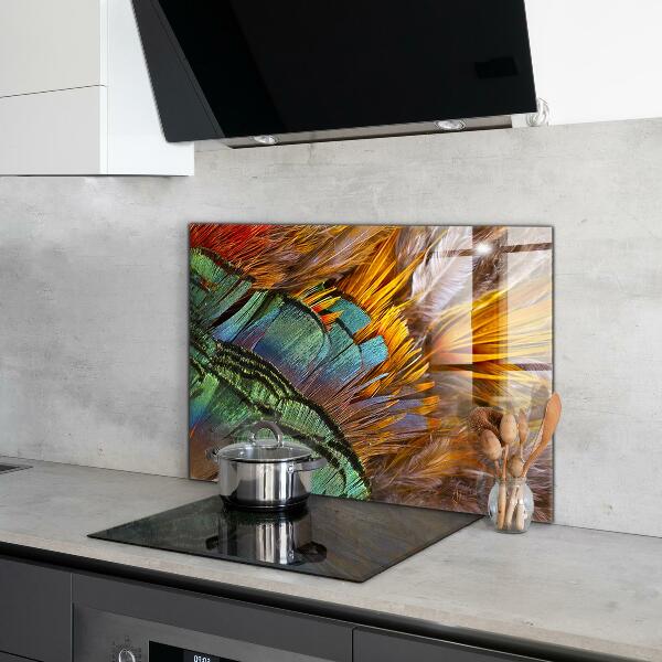Oven splashback Exotic feathers