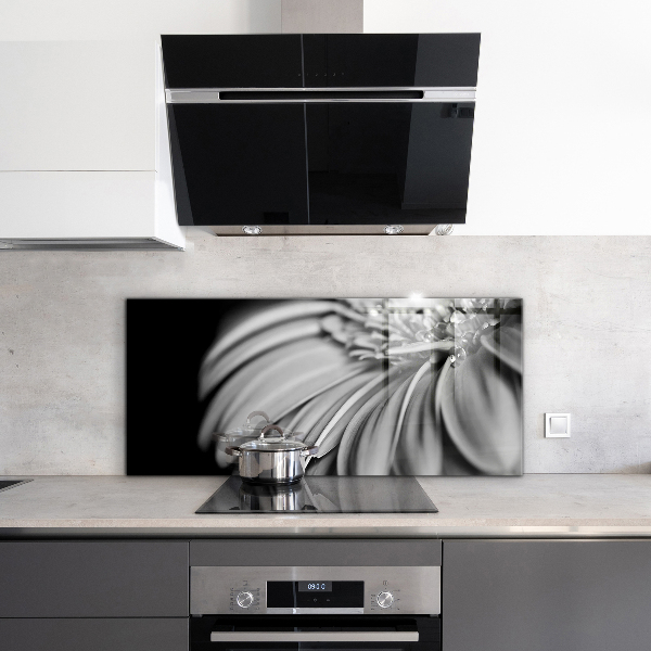 Kitchen splashback Gerber black and white photo
