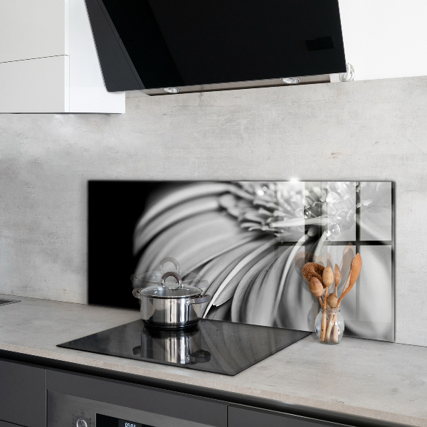 Kitchen splashback Gerber black and white photo