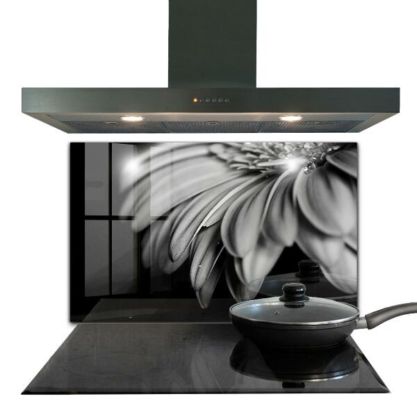Kitchen splashback Gerber black and white photo
