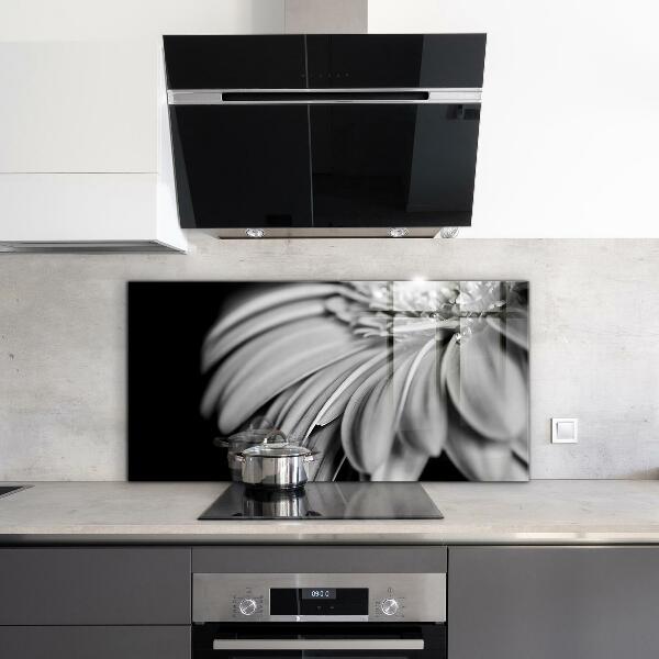 Kitchen splashback Gerber black and white photo