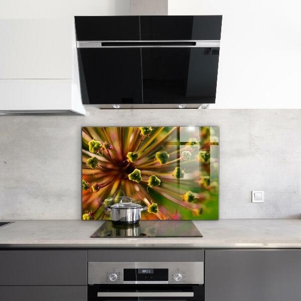 Kitchen splashback Flower macro photography