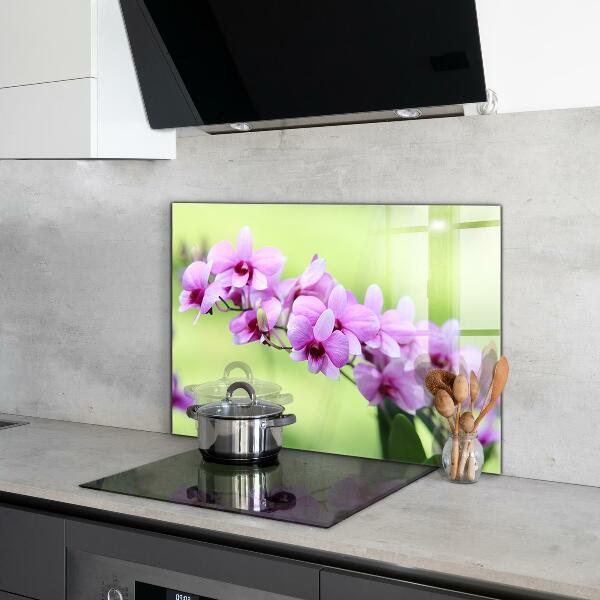 Kitchen splashback Purple orchid