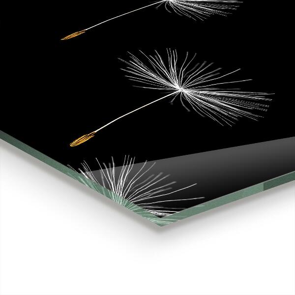 Kitchen splashback Dandelions in the wind