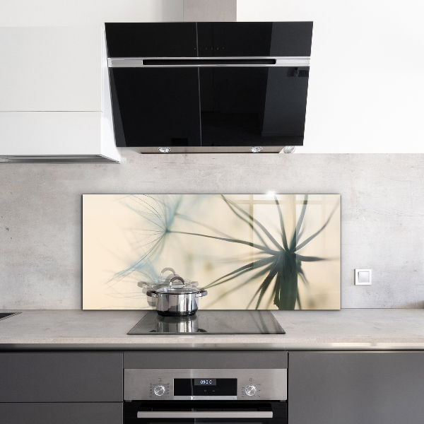 Kitchen splashback Beautiful delicate dandelion