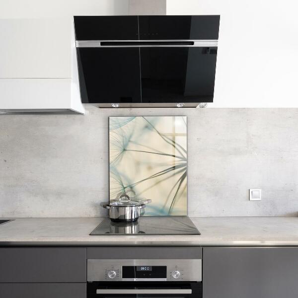 Kitchen splashback Beautiful delicate dandelion