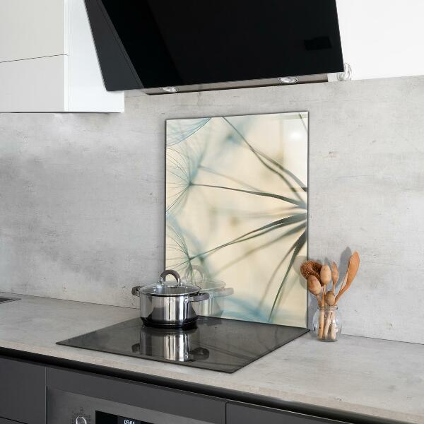 Kitchen splashback Beautiful delicate dandelion