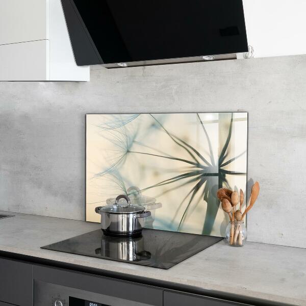 Kitchen splashback Beautiful delicate dandelion