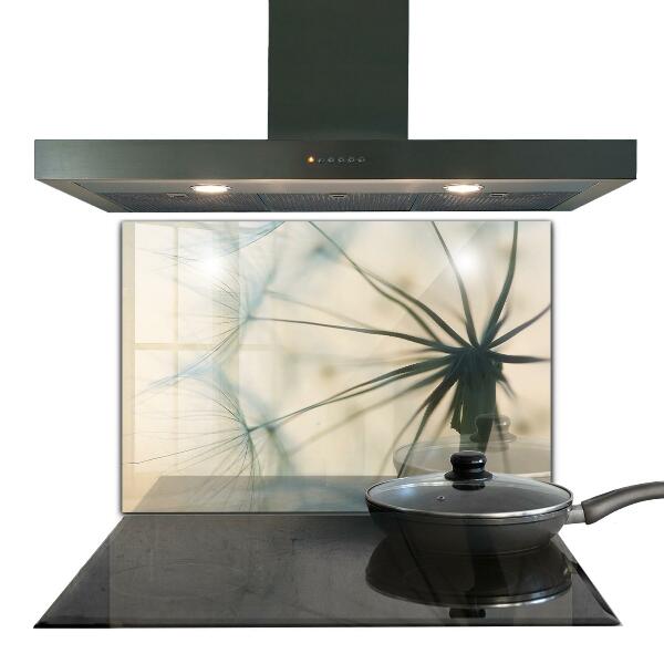 Kitchen splashback Beautiful delicate dandelion