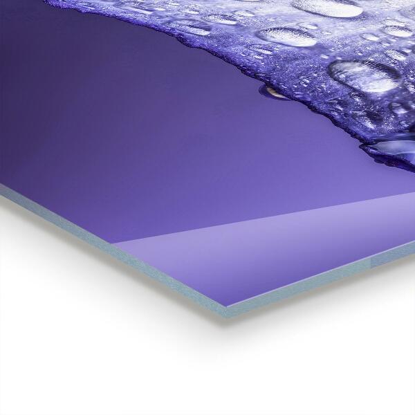 Kitchen splashback Purple flower petal