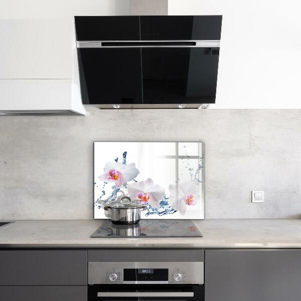 Kitchen splashback Orchid sprinkled with water