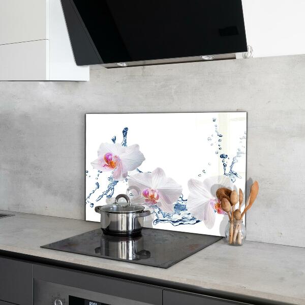 Kitchen splashback Orchid sprinkled with water