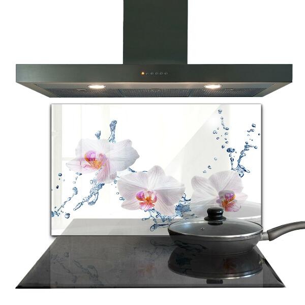 Kitchen splashback Orchid sprinkled with water